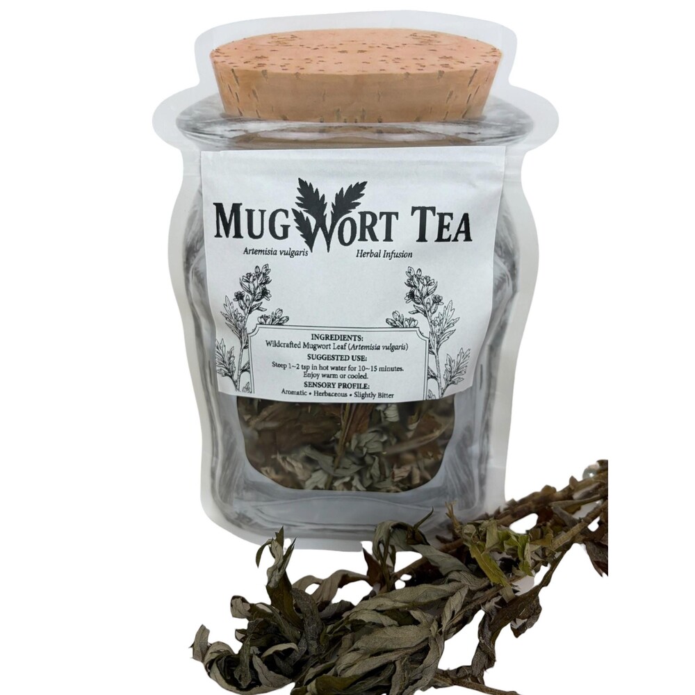 Mugwort Herbal Tea | Dried Artemisia vulgaris | Traditional Botanical